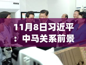 11月8日習(xí)近平：中馬關(guān)系前景光明 未來可期，11月8日習(xí)近平主席談中馬關(guān)系，未來光明，前景可期