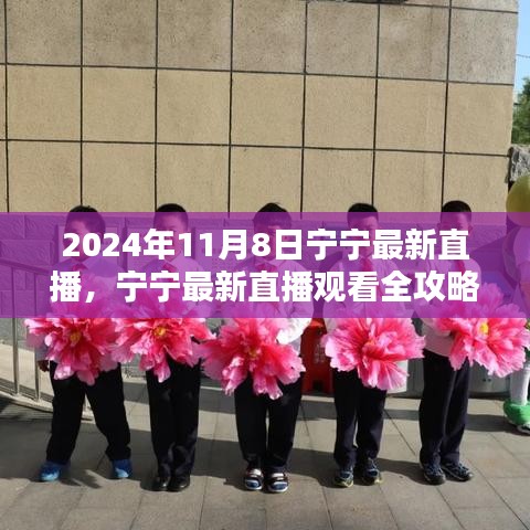 寧寧直播指南，2024年11月8日直播觀看全攻略與入門指南