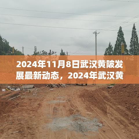 2024年武漢黃陂發(fā)展最新動(dòng)態(tài)探索，融入?yún)^(qū)域發(fā)展大潮的步伐