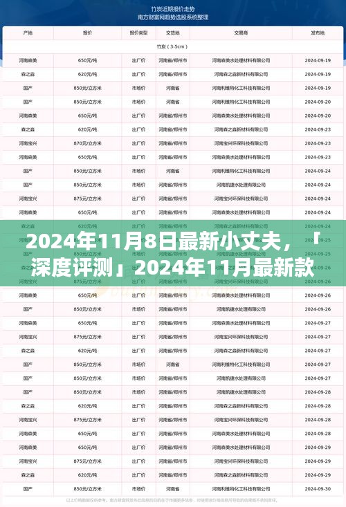 深度評測，全方位解析2024年最新款小丈夫產(chǎn)品特性與用戶體驗體驗報告