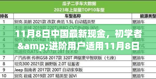 初學(xué)者與進(jìn)階用戶指南，11月8日中國最新現(xiàn)金操作指南及任務(wù)完成步驟詳解