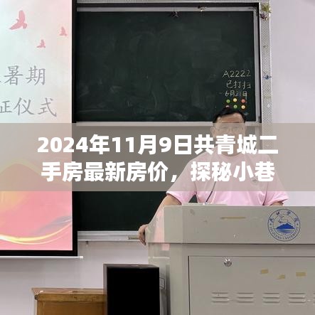 2024年共青城二手房最新房價揭秘，小巷特色小店探秘