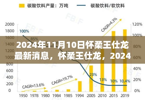 懷柔王仕龍最新動(dòng)態(tài)與深遠(yuǎn)影響力揭曉，2024年11月10日更新