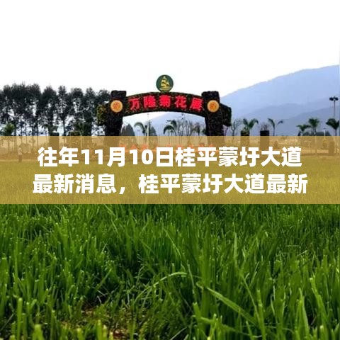 桂平蒙圩大道最新動(dòng)態(tài)獲取全攻略，輕松掌握最新消息動(dòng)態(tài)