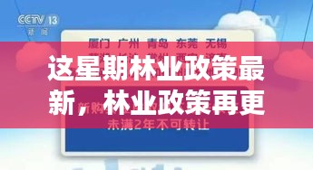 林業(yè)政策最新動(dòng)向，本周更新及其時(shí)代影響力分析