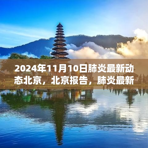 北京肺炎最新動態(tài)深度觀察，報告與影響，2024年11月10日最新進(jìn)展