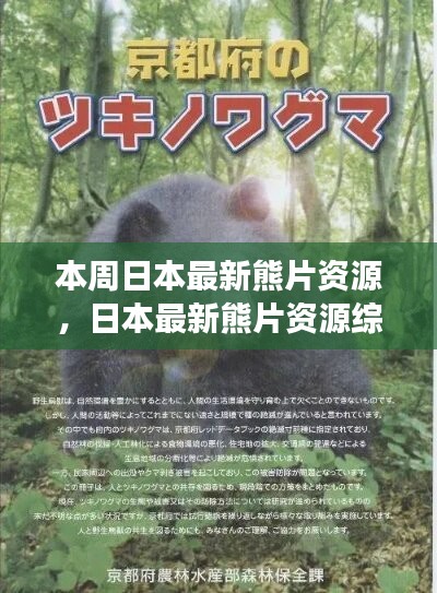 日本最新熊片資源綜述，背景、進(jìn)展與特定領(lǐng)域地位探討