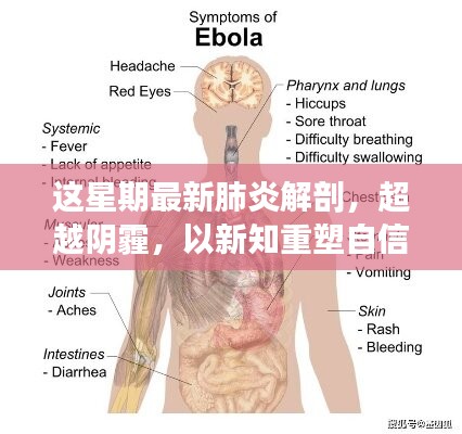 超越陰霾，最新肺炎解剖啟示錄，重塑信心與新知的探索