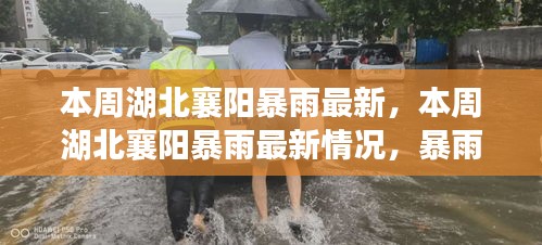 湖北襄陽本周暴雨最新情況，影響、應(yīng)對措施全解析