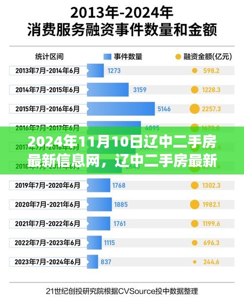 2024年11月10日遼中二手房市場(chǎng)最新動(dòng)態(tài)，樓市變遷與影響深度解析