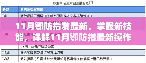 11月鄂防指最新操作流程步驟指南，掌握新技能的詳解