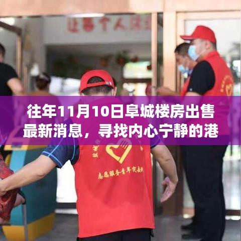 阜城樓房最新出售消息，尋找心靈寧靜的自然探索之旅