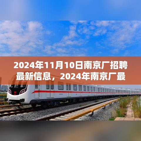 南京廠最新招聘信息解析（2024年11月）