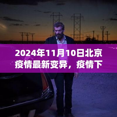 北京疫情最新變異下的溫情與友情日常，2024年11月10日最新觀察