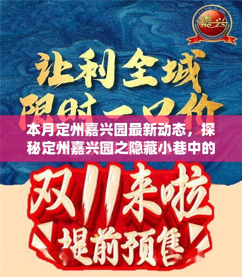 本月定州嘉興園最新動(dòng)態(tài)，探秘隱藏小巷的獨(dú)特風(fēng)味——新鮮打卡指南