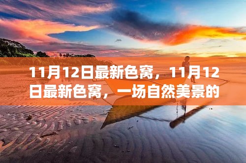 11月12日最新色窩探秘之旅，自然美景中尋找內(nèi)心平和與寧靜