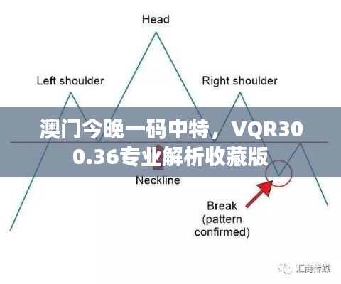 澳門今晚一碼中特，VQR300.36專業(yè)解析收藏版