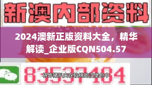 2024澳新正版資料大全，精華解讀_企業(yè)版CQN504.57