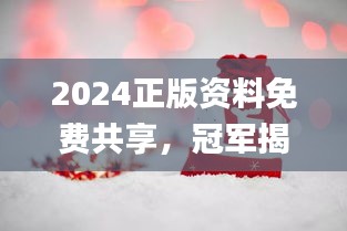 2024正版資料免費共享，冠軍揭曉預告_E VH233.8預備版