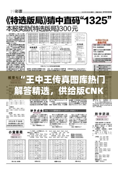 “王中王傳真圖庫(kù)熱門解答精選，供給版CNK575.39”