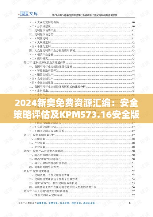 2024新奧免費資源匯編：安全策略評估及KPM573.16安全版