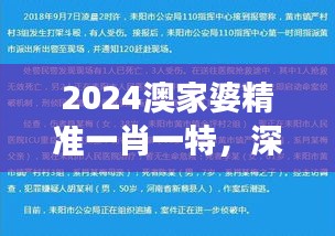 2024澳家婆精準一肖一特，深度解析精選版QRI748.52解讀