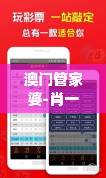 澳門管家婆-肖一碼解析：數(shù)據(jù)資料詳盡版XMF560.15