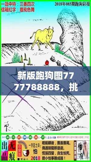 新版跑狗圖7777788888，挑戰(zhàn)TDM565.02資料解析