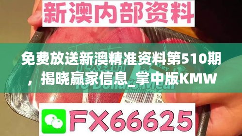 免費(fèi)放送新澳精準(zhǔn)資料第510期，揭曉贏家信息_掌中版KMW387.73