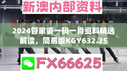 2024管家婆一碼一肖資料精選解讀，簡易版KGY632.25