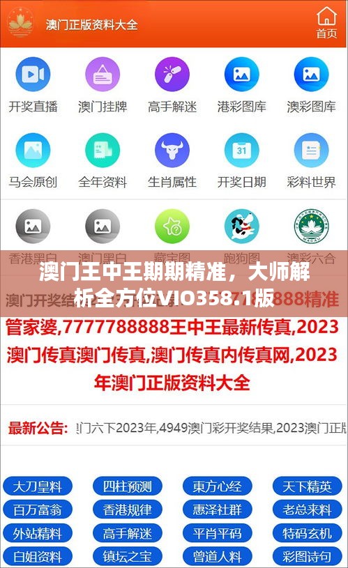 澳門王中王期期精準(zhǔn)，大師解析全方位VIO358.1版