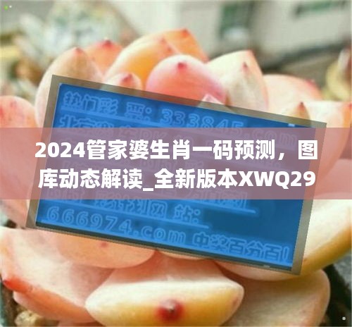 2024管家婆生肖一碼預(yù)測，圖庫動(dòng)態(tài)解讀_全新版本XWQ290.47