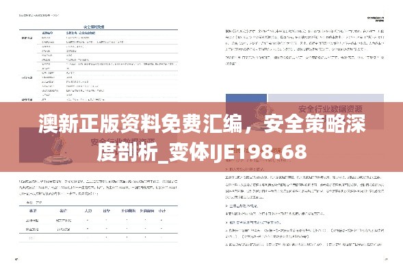 澳新正版資料免費(fèi)匯編，安全策略深度剖析_變體IJE198.68