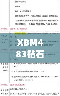 XBM483鉆石版：精準(zhǔn)玄機(jī)決策資料解析