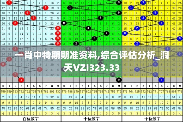 一肖中特期期準(zhǔn)資料,綜合評(píng)估分析_洞天VZI323.33