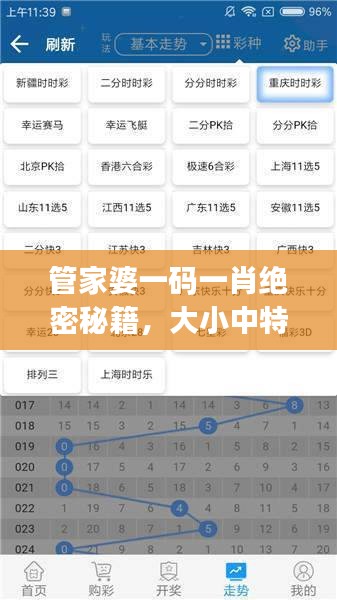 管家婆一碼一肖絕密秘籍，大小中特精準解析，JRW112.88編程版最新解讀