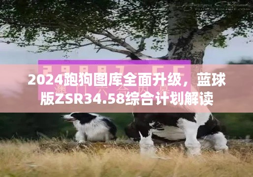 2024跑狗圖庫(kù)全面升級(jí)，藍(lán)球版ZSR34.58綜合計(jì)劃解讀