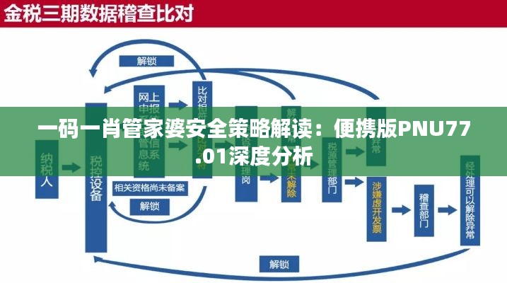 一碼一肖管家婆安全策略解讀：便攜版PNU77.01深度分析