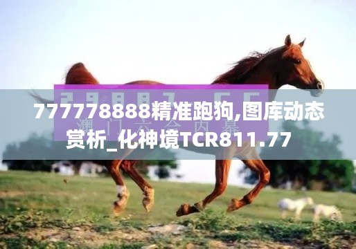 777778888精準(zhǔn)跑狗,圖庫(kù)動(dòng)態(tài)賞析_化神境TCR811.77