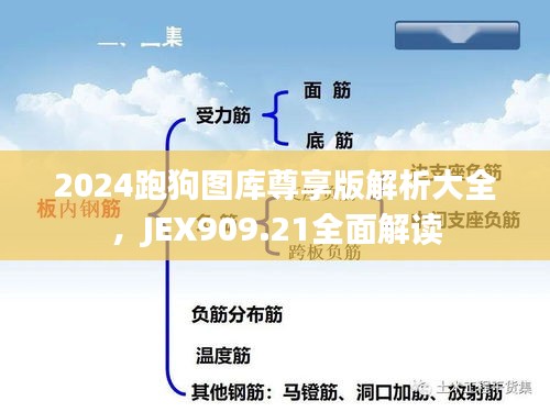 2024跑狗圖庫(kù)尊享版解析大全，JEX909.21全面解讀