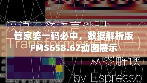 管家婆一碼必中，數據解析版FMS658.62動圖展示