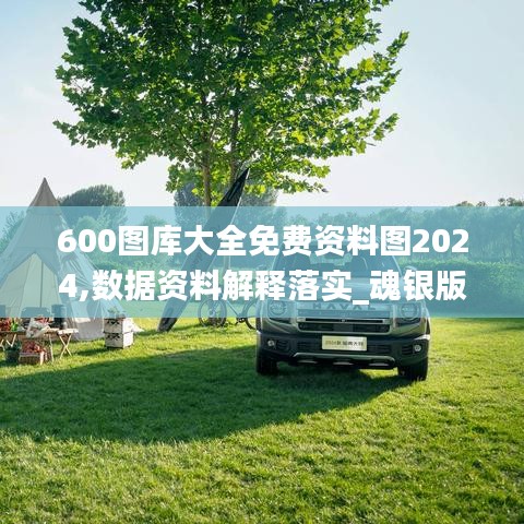 600圖庫(kù)大全免費(fèi)資料圖2024,數(shù)據(jù)資料解釋落實(shí)_魂銀版YCH825.3