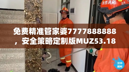 免費精準管家婆7777888888，安全策略定制版MUZ53.18評估服務