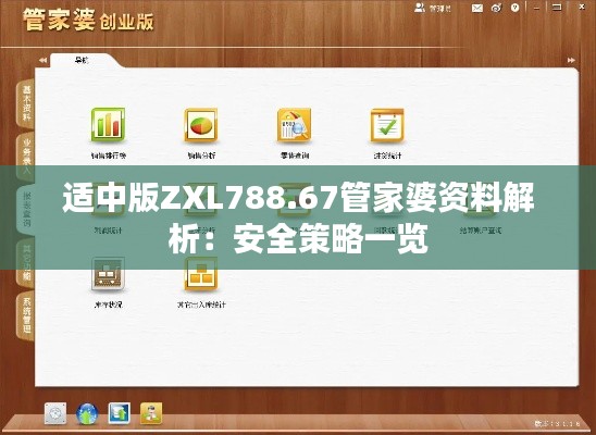 適中版ZXL788.67管家婆資料解析：安全策略一覽