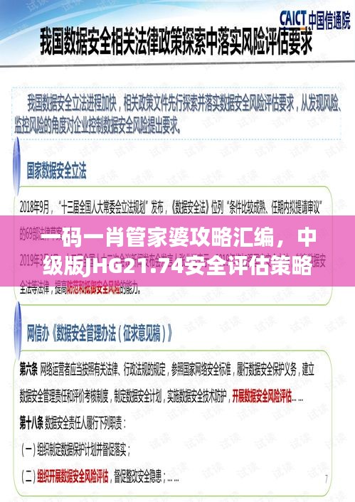 一碼一肖管家婆攻略匯編，中級版JHG21.74安全評估策略