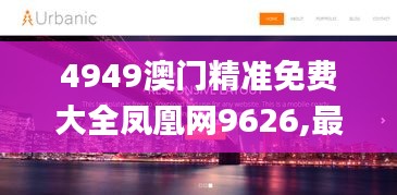 4949澳門精準免費大全鳳凰網9626,最佳精選解釋_個人版UWN719.94