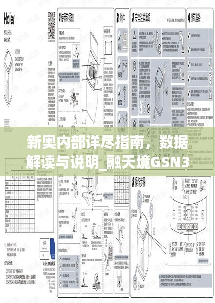 新奧內(nèi)部詳盡指南，數(shù)據(jù)解讀與說明_融天境GSN335.3