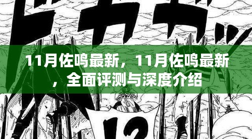 11月佐鳴最新，全面評(píng)測(cè)與深度介紹