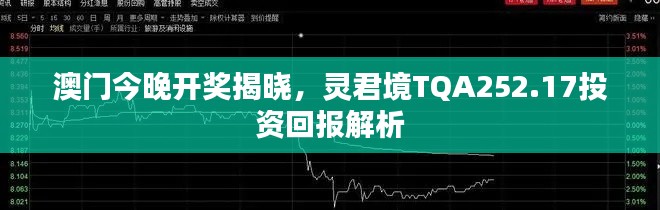 澳門今晚開獎揭曉，靈君境TQA252.17投資回報解析