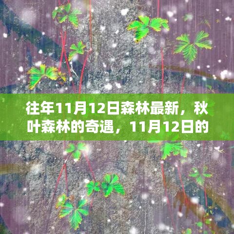 秋日森林奇遇，溫馨記憶中的最新秋葉森林